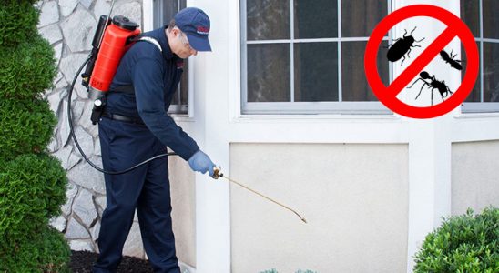 Karahallı Pire İlaçlama böcek ilaçlama ve haşere kontrolü — ilaclama-tr.com